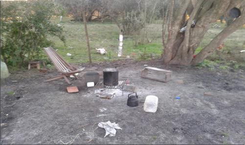 Imagen1 1