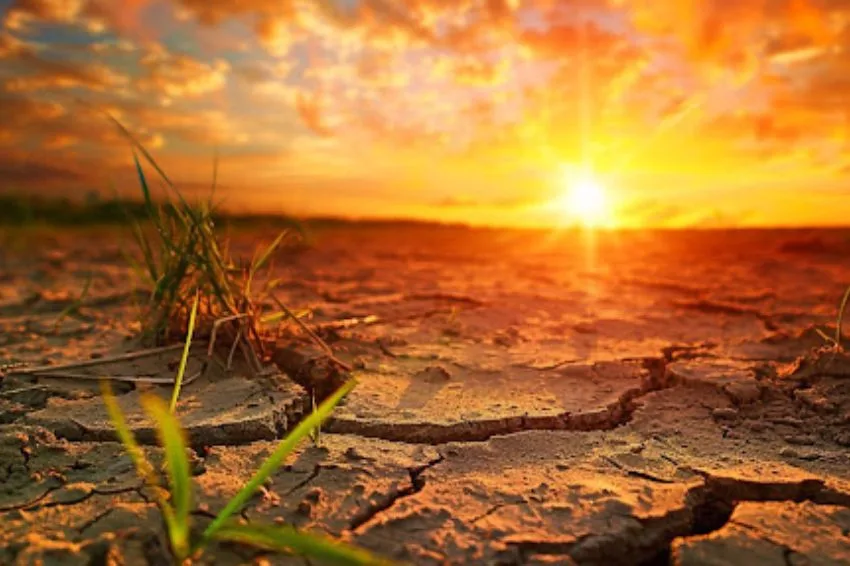 Efeitos-do-aquecimento-global-na-disrupcao-das-cadeias-produtivas