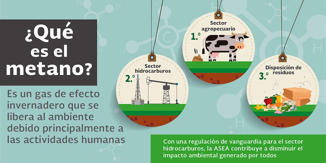 Uruguay-se-compromete-a-reducir-un-32%,-las-emisiones-de-gas-metano-para-el-año-2025