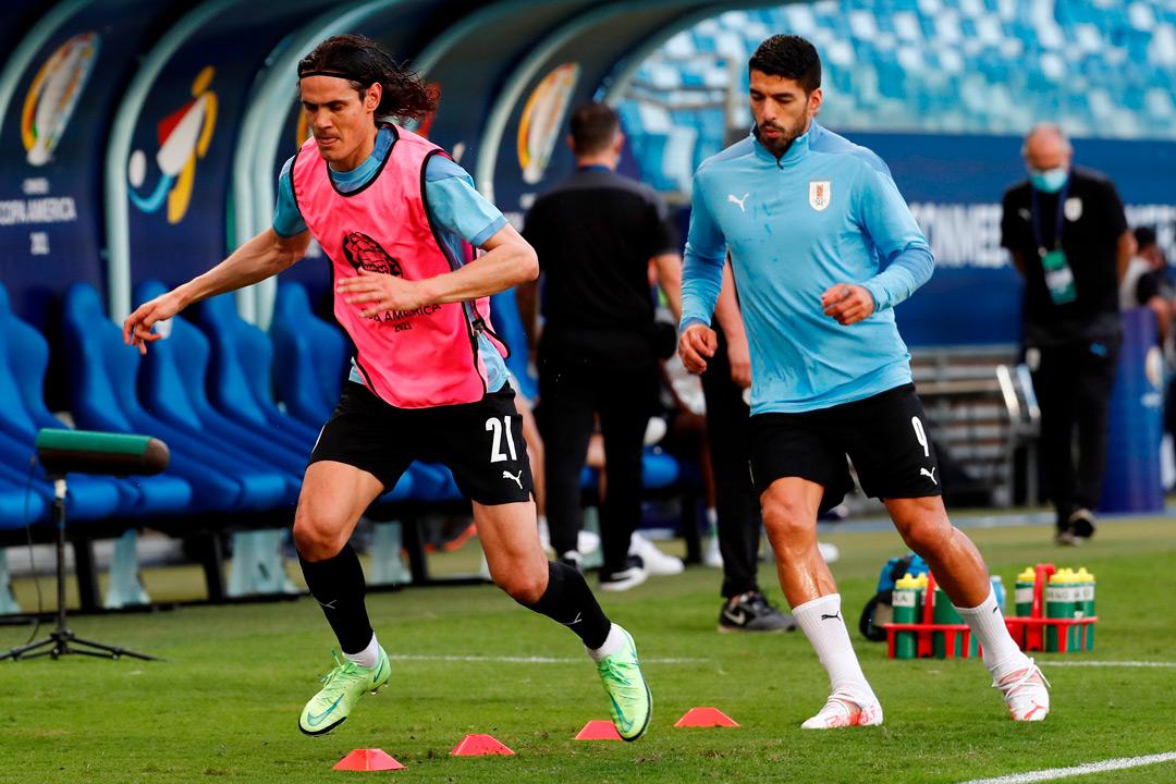Suarez-y-Cavani