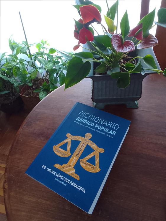 Tapa-Diccionario-Jurídico