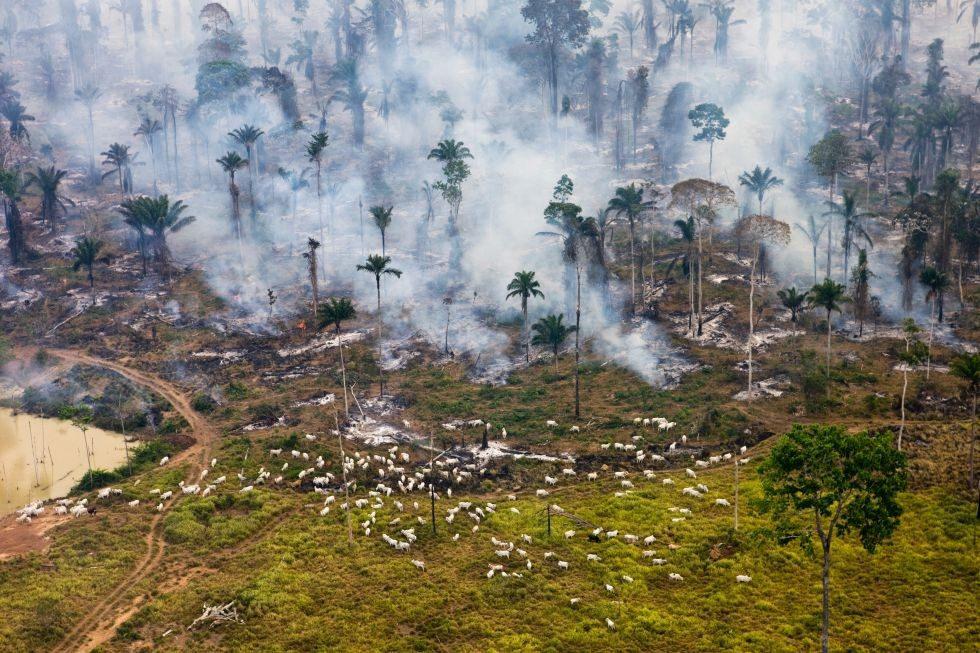 destruccion-del-medio-ambiente-2