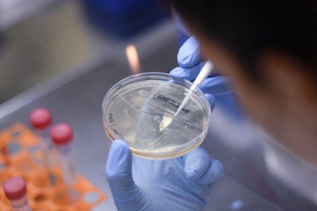 coronavirus