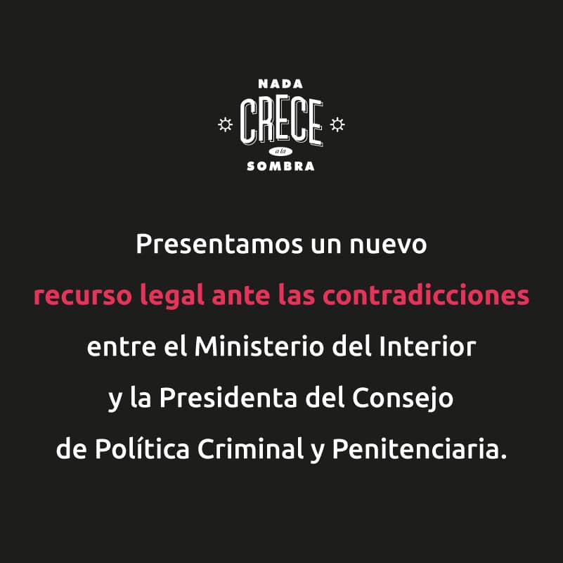 Nada crece en la sombra