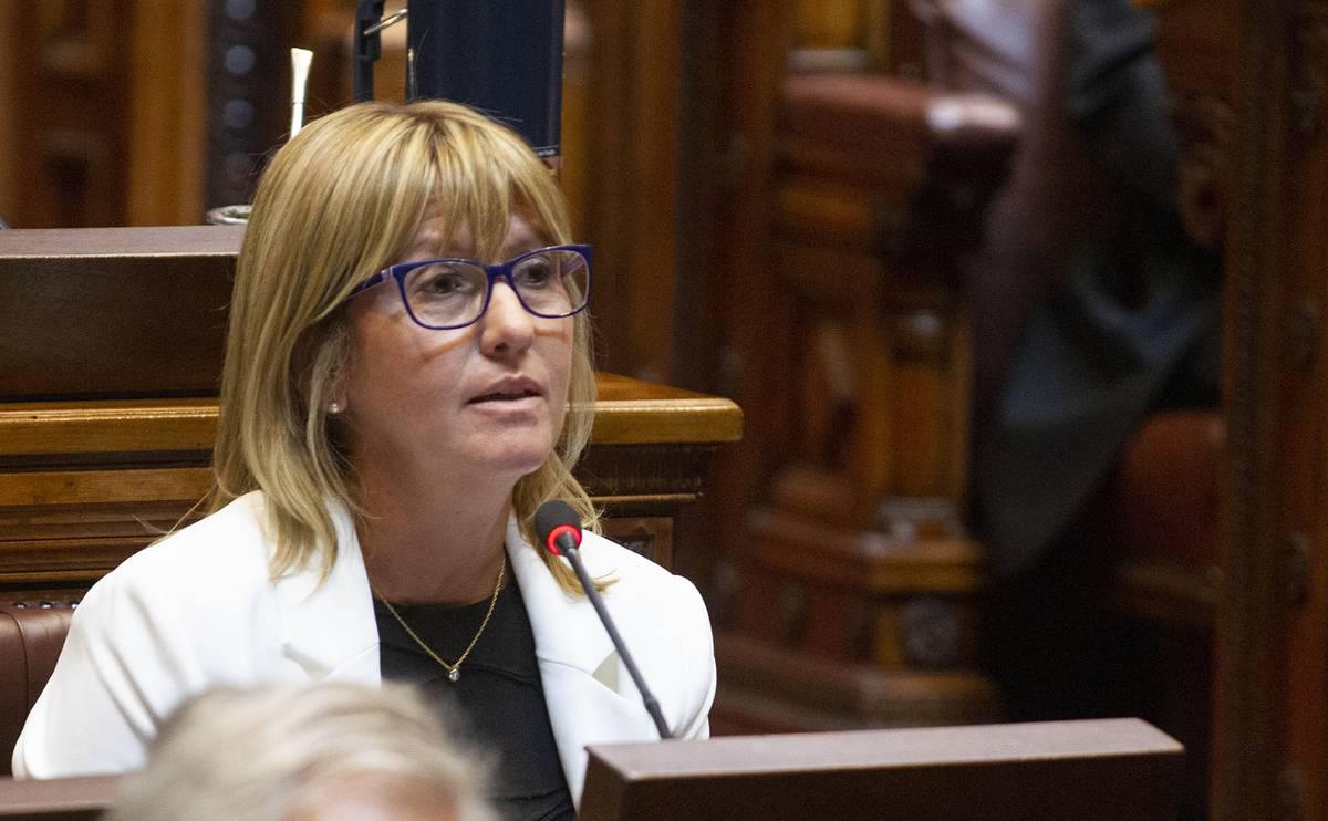 Garantías para la Primera Infancia se aprobó en Diputados.