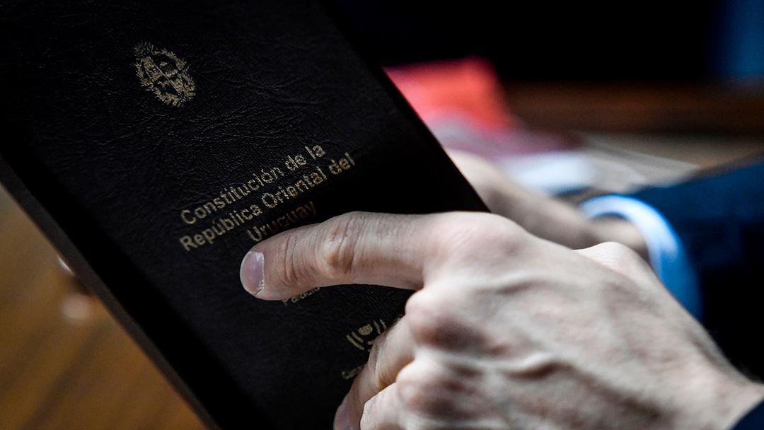 87E6ABE6-33D0-4D70-B411-409D136BEE43