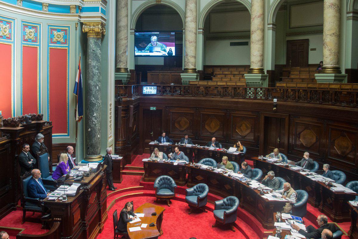 Senado aprobó en general la Rendición de Cuentas