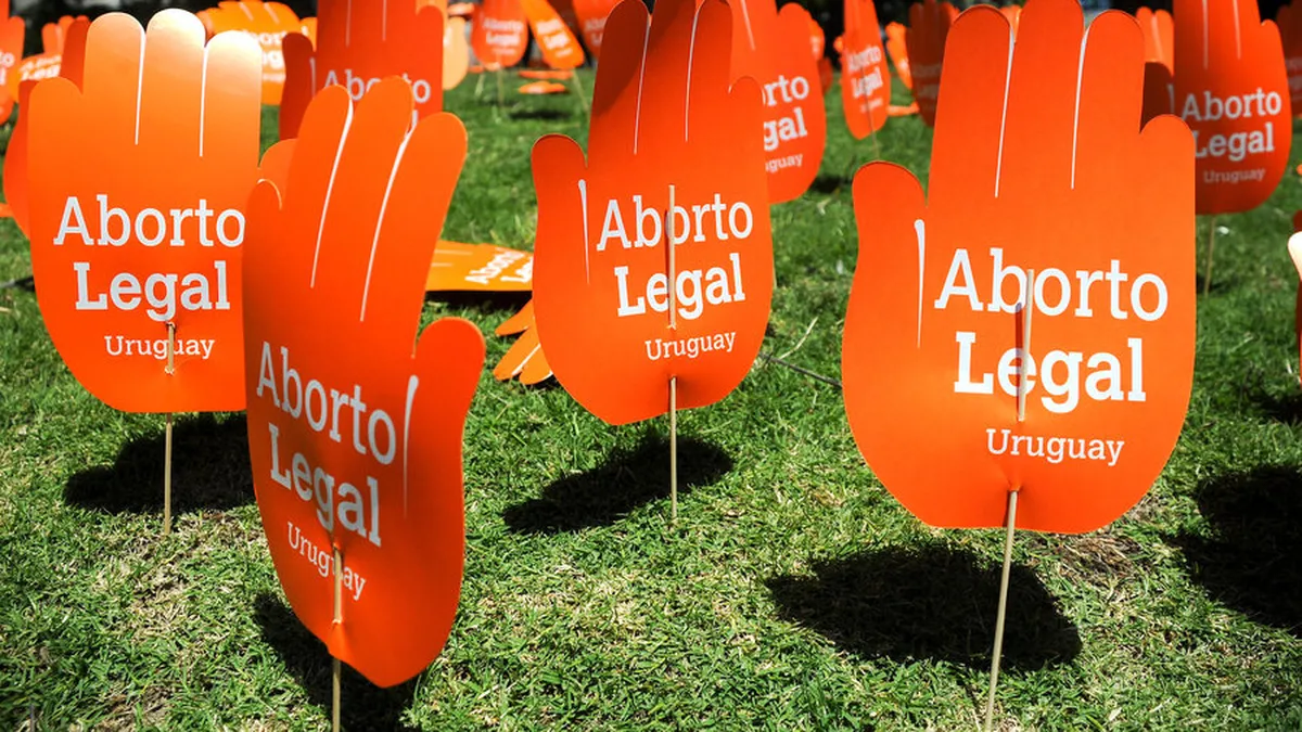 intervencion-alrededor-del-palacio-legislativo-la-votacion-la-ley-interrupcion-voluntaria-del-embarazo-2012-foto-santiago-mazzarovich-adhocf