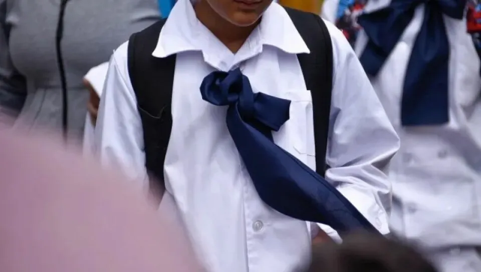 multimedia.normal.a509be28dbf8b59b.ODAweDQ1My1pbmZvcHVibGljaWRhZC1OZXZleC1hbGNfbm9ybWFsLndlYnA=