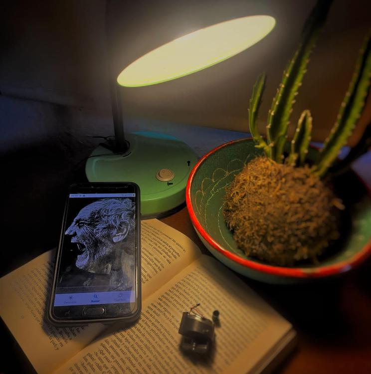 IA-forismos  - Fotografìa de Cecilia Courtoisie